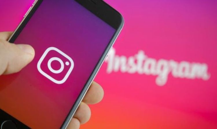 What to Know Before You Buy Cheap Followers for Instagram