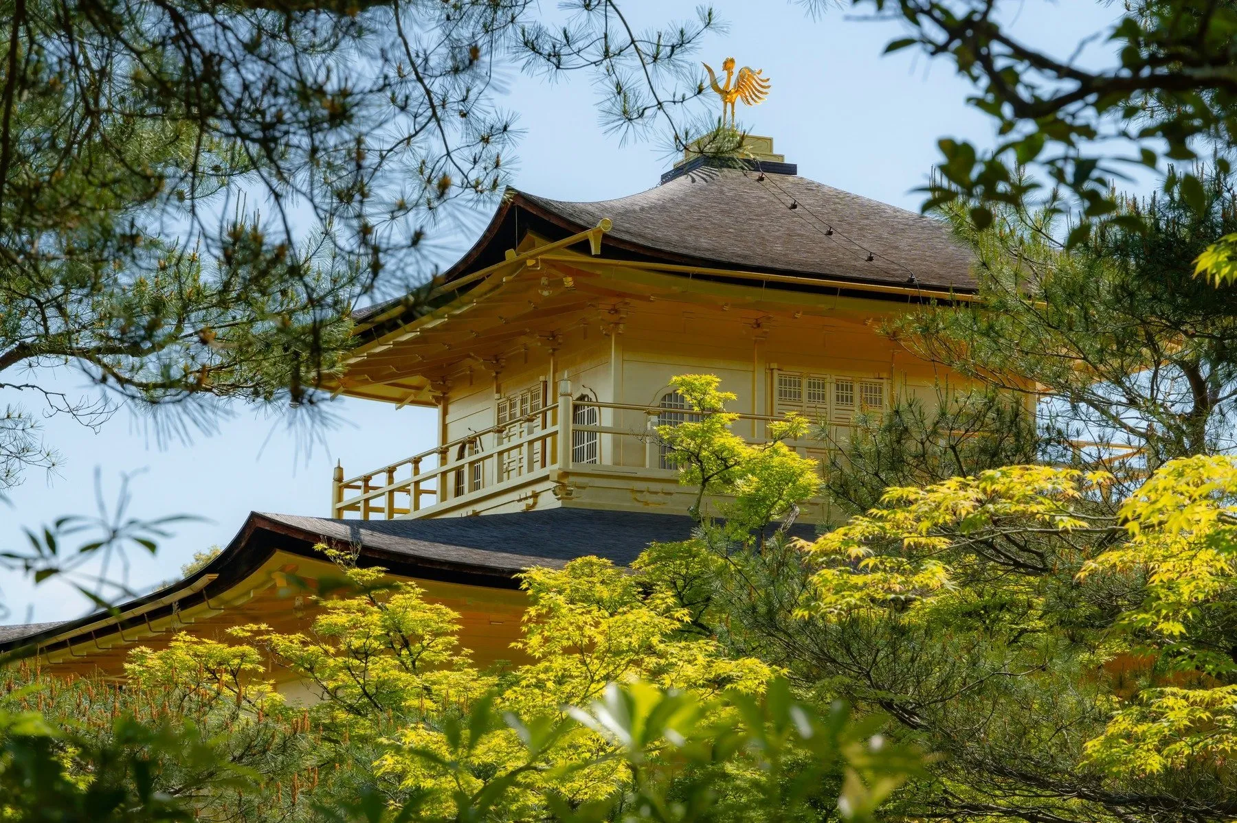 japan travel advisory